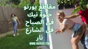 مقاطع بورنو